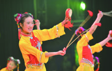 p0092_img00219_x1964_228x146.jpeg