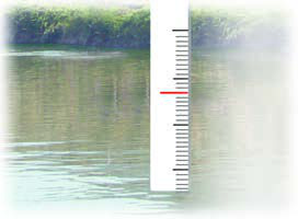 p0117_img00315_x2695_272x200.jpeg