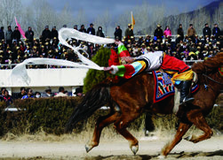p0081_img00201_x1753_251x181.jpeg